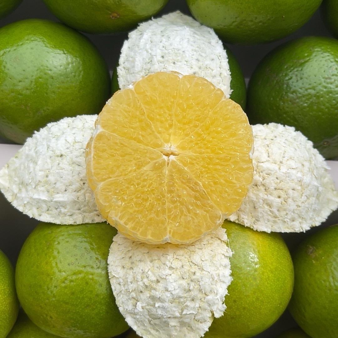 德庆贡柑明日达