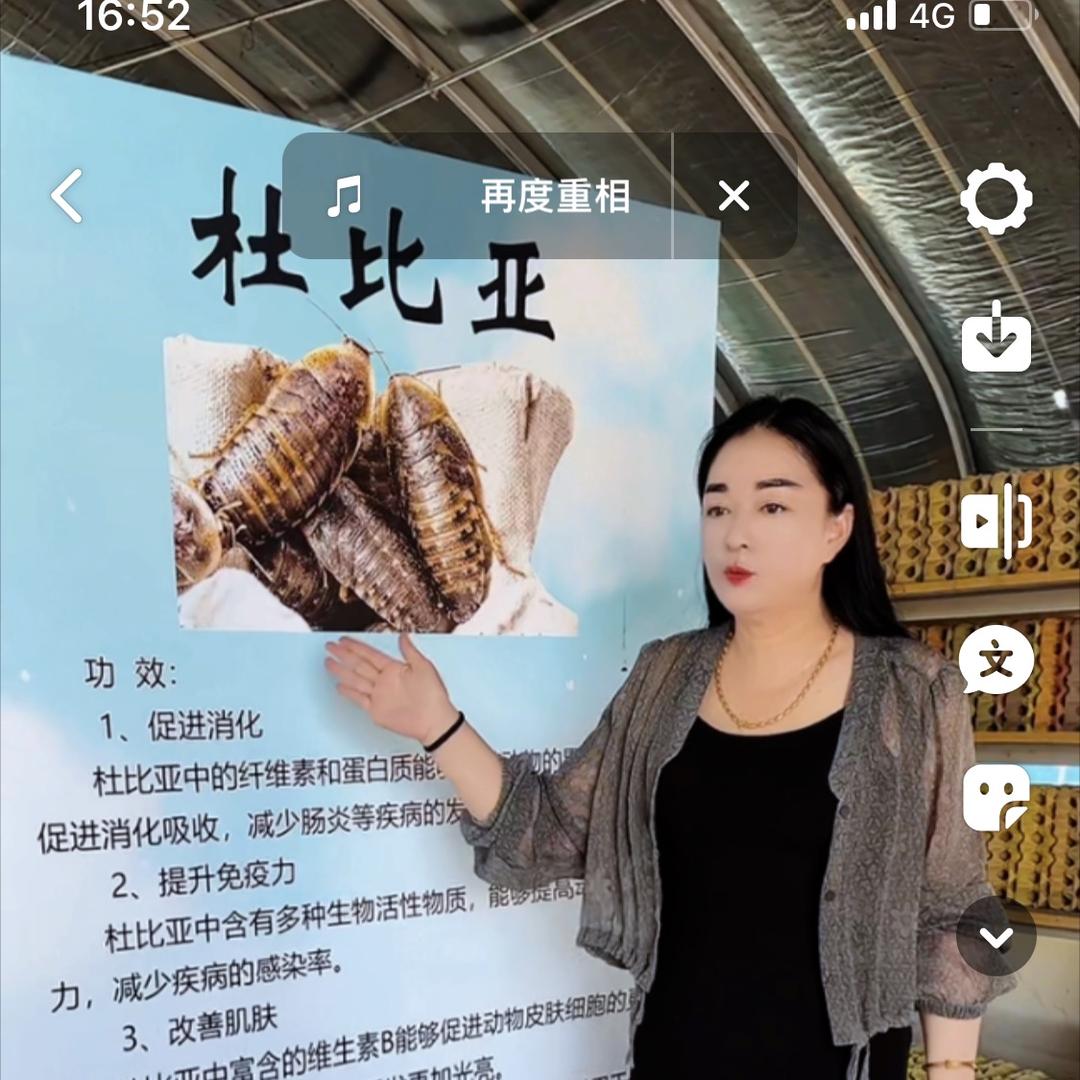 岳明农业