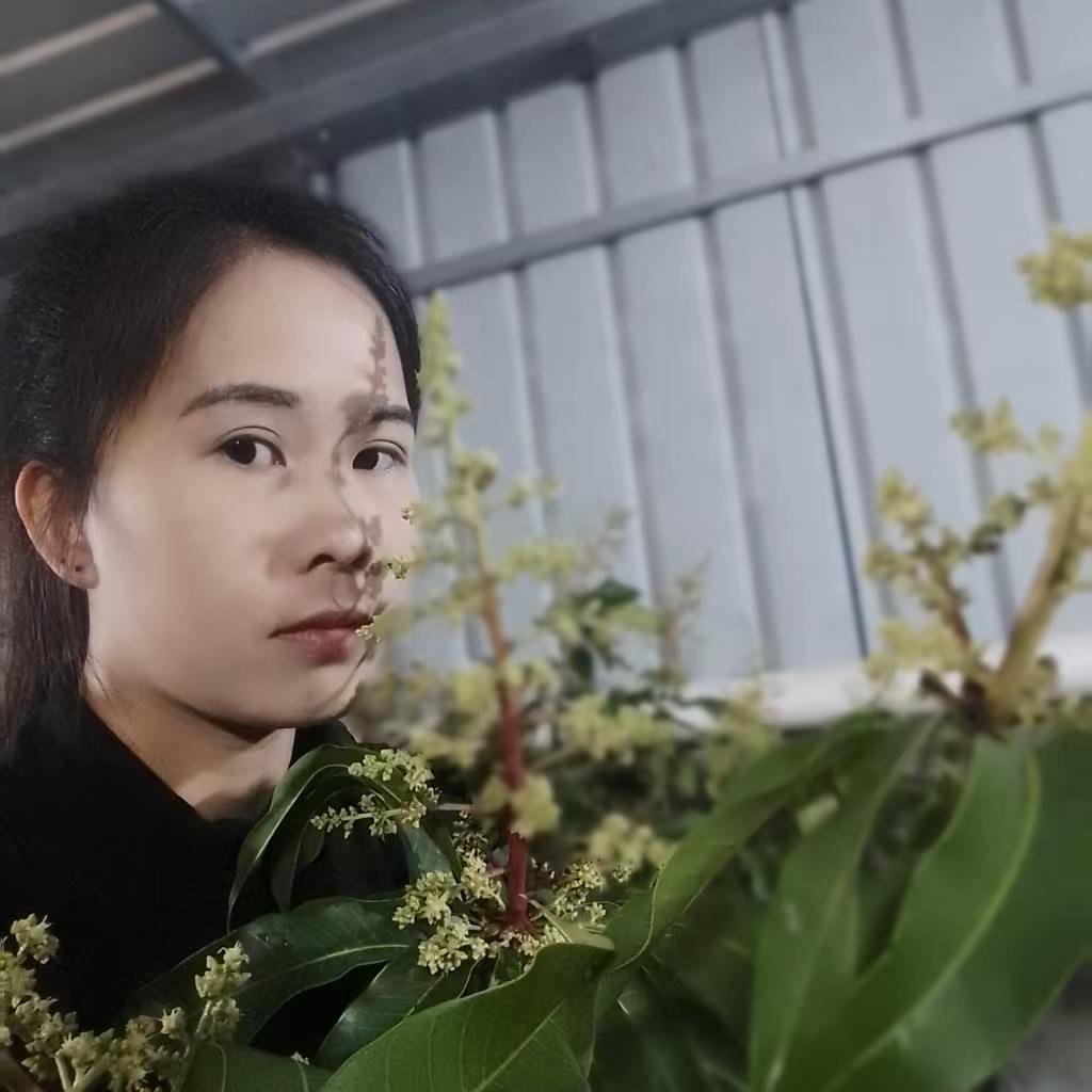 钦选果树苗木专营店