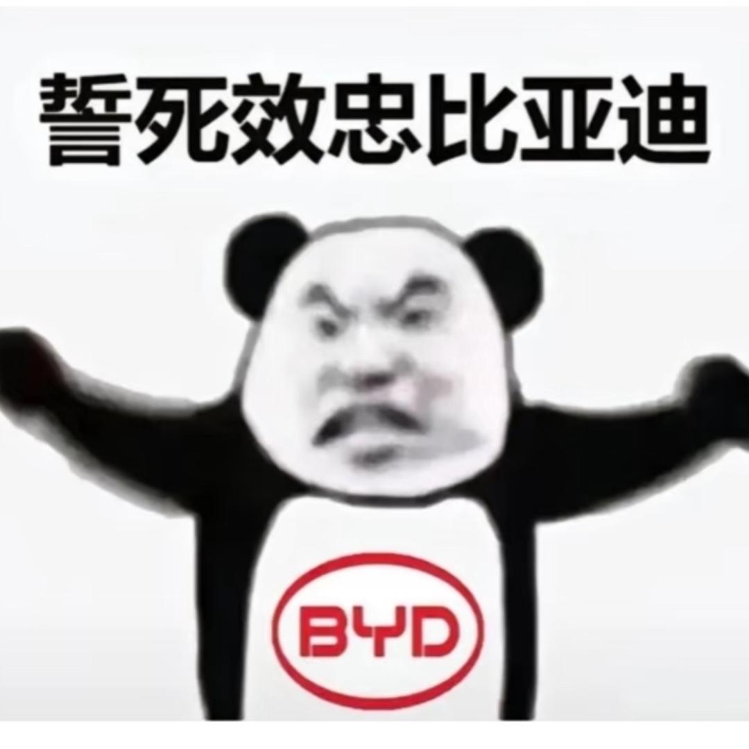 肖肖（迪迪上班 记录生活版）