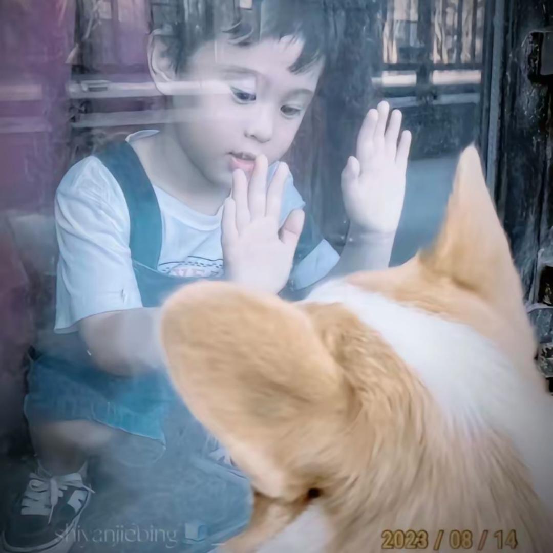 你的钰钰