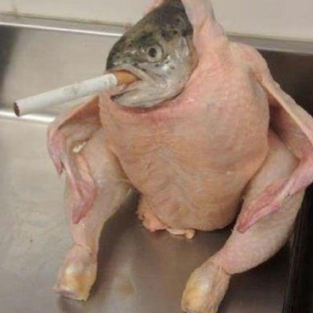应急热情