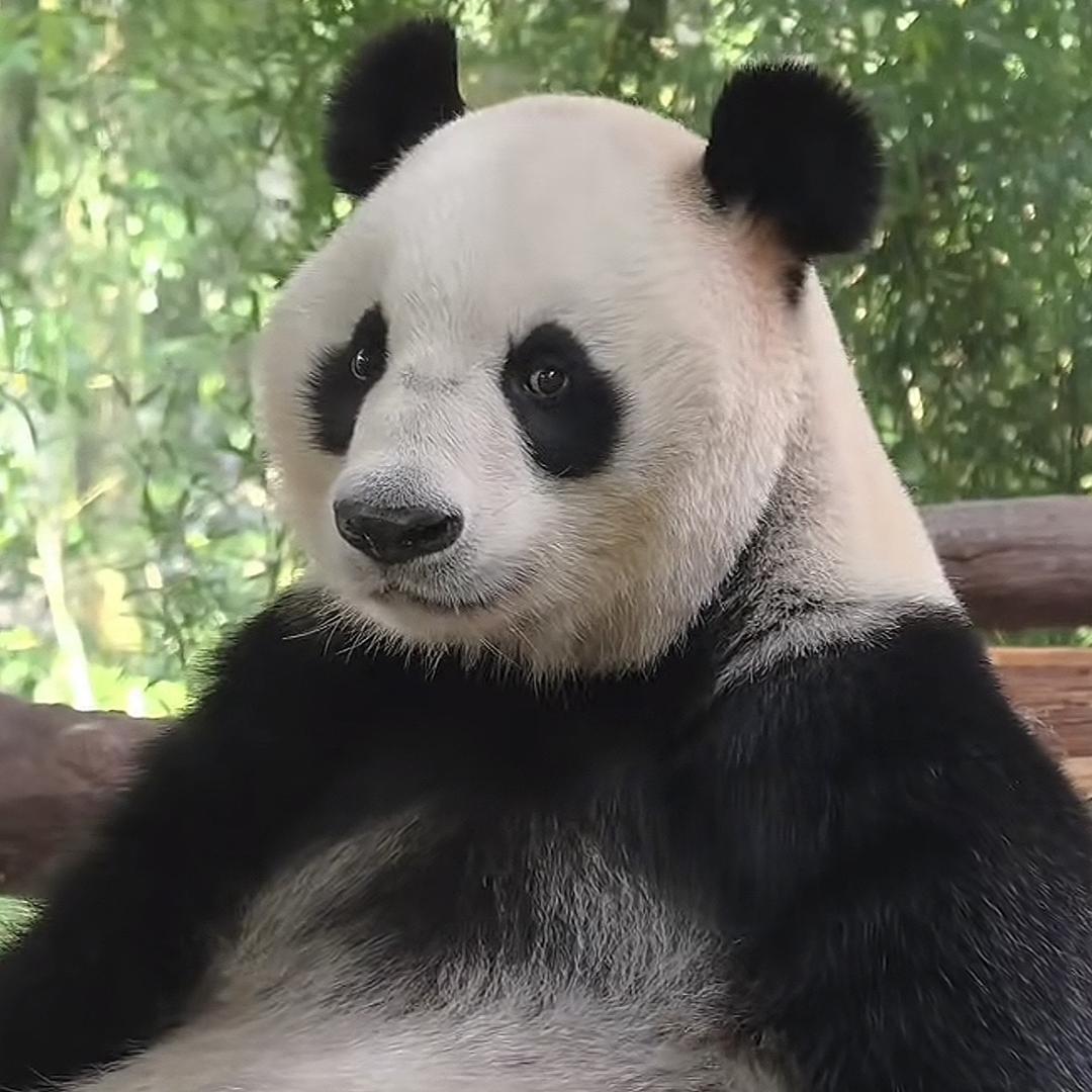 珈ᴶᵁᴺ