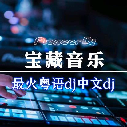 柒音车载影音 优盘橱窗下单