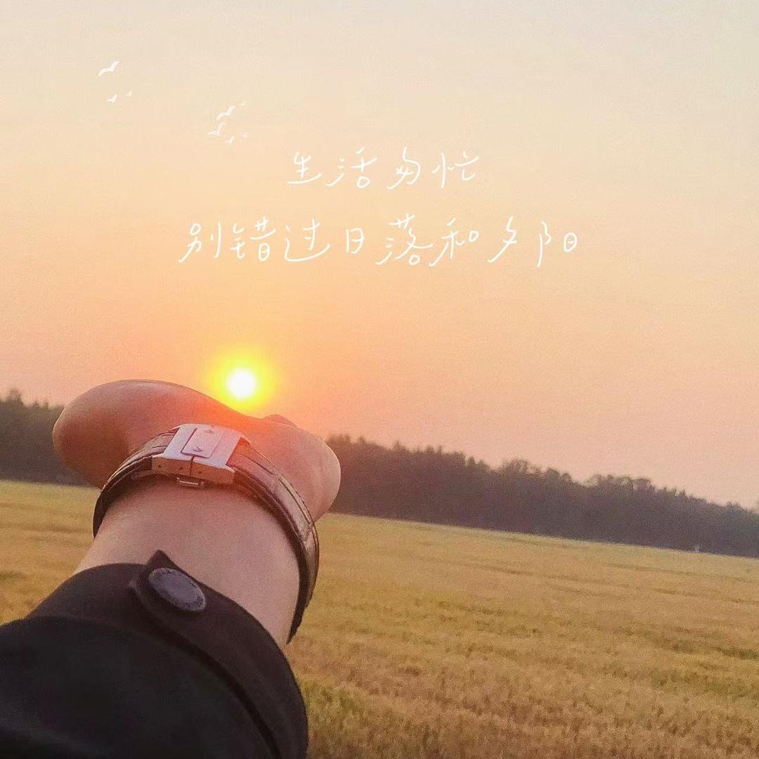@叫我蔡先生