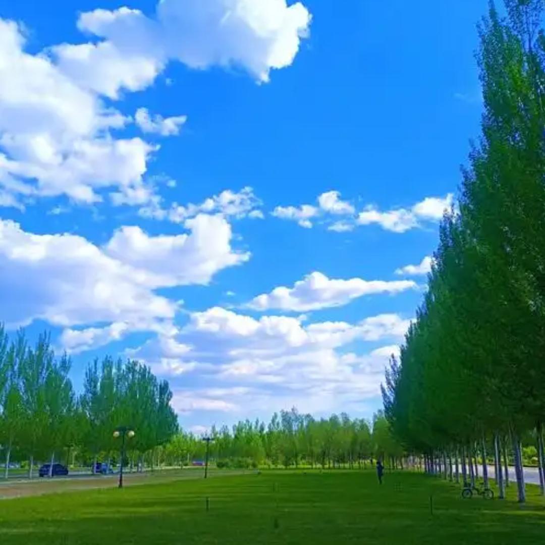 蓝天影力