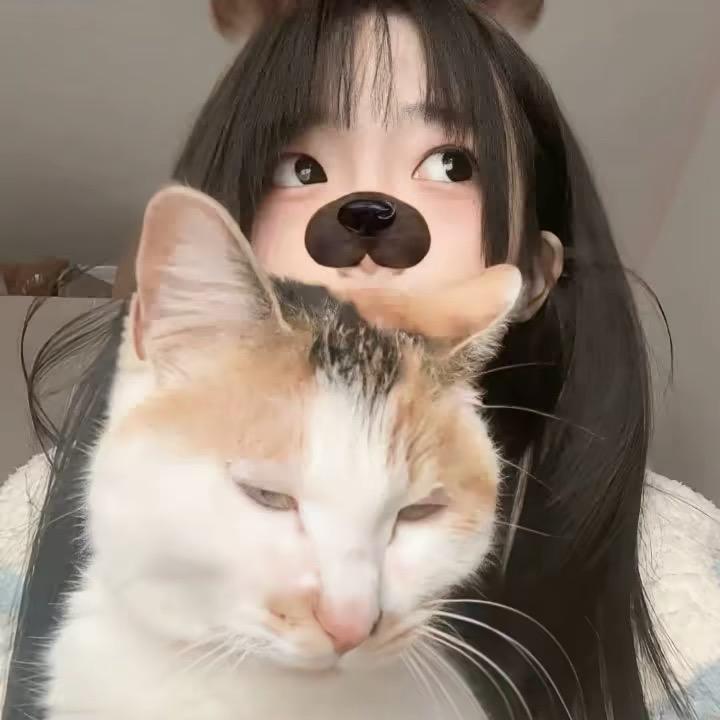 一只金金酱ᕑᗢᓫ