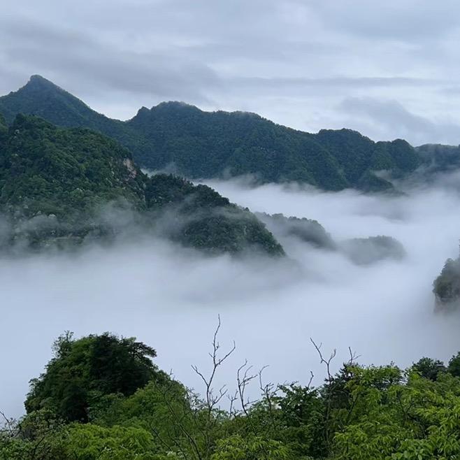 易言堂中古系列