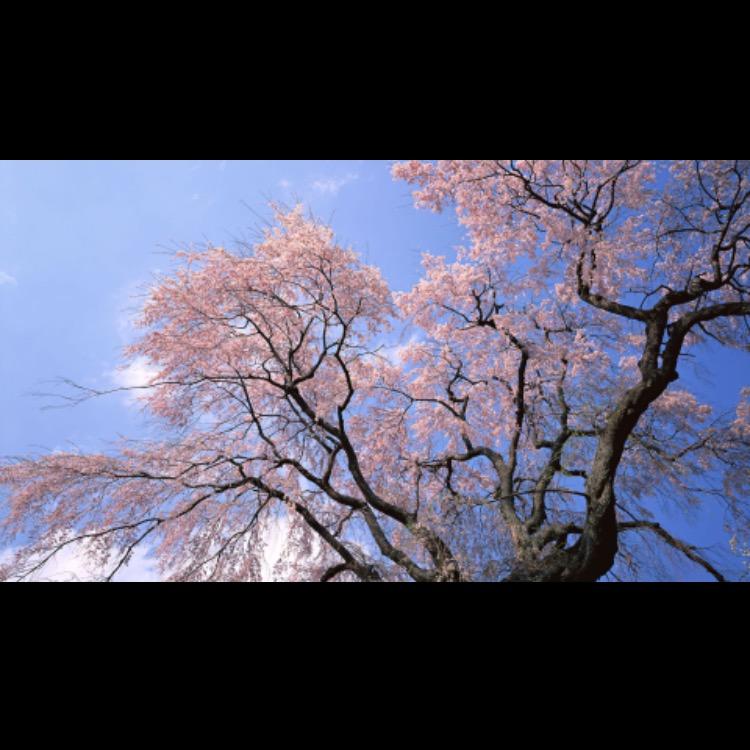 知足常乐