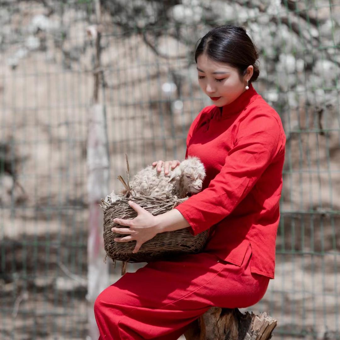 陕北巧媳妇特产全国发（带娃版）