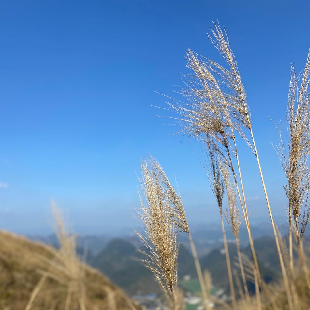 乡村艺铭