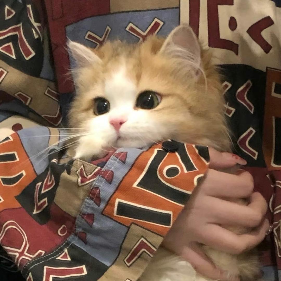 P1N9