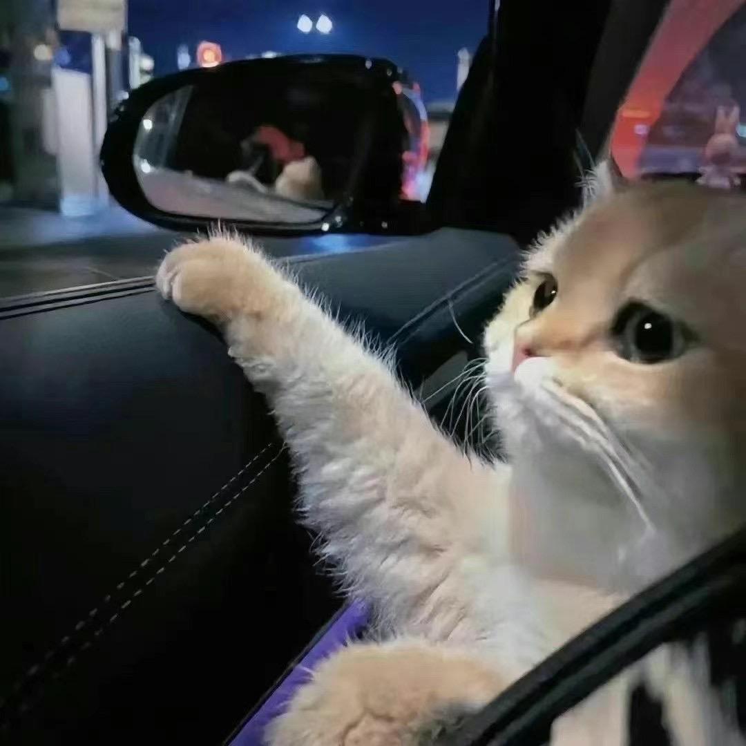 @人生过客
