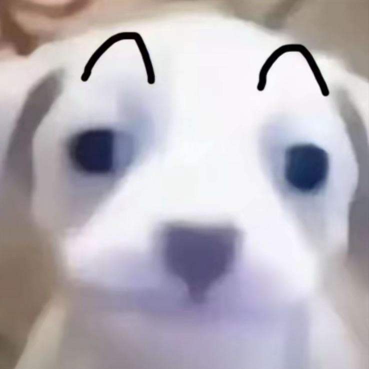 湿天ttt