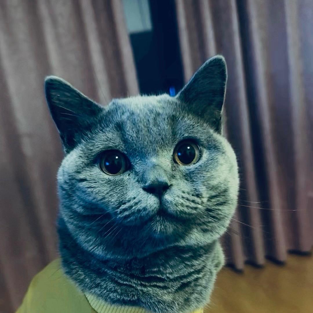 李秀珠🐲