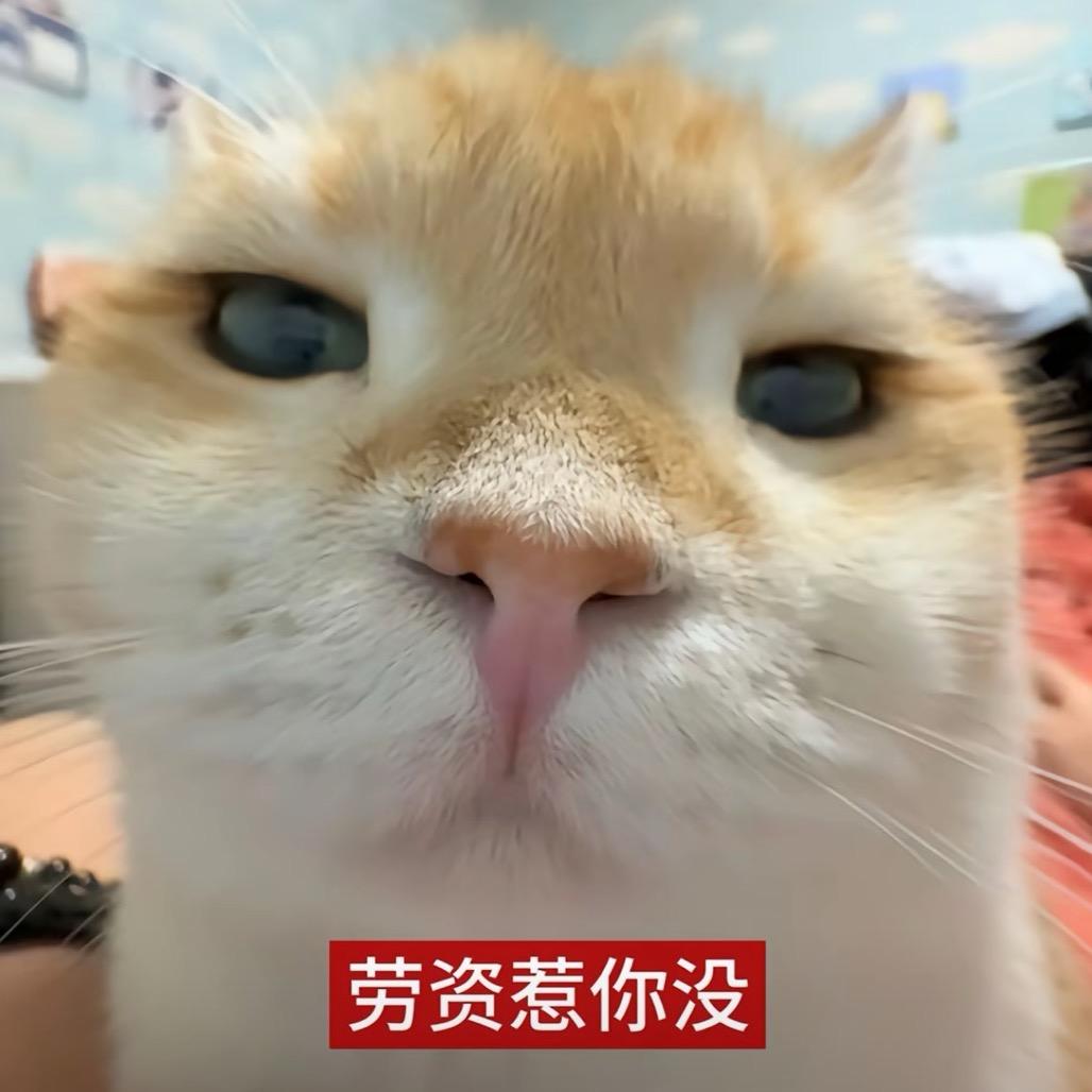 五月