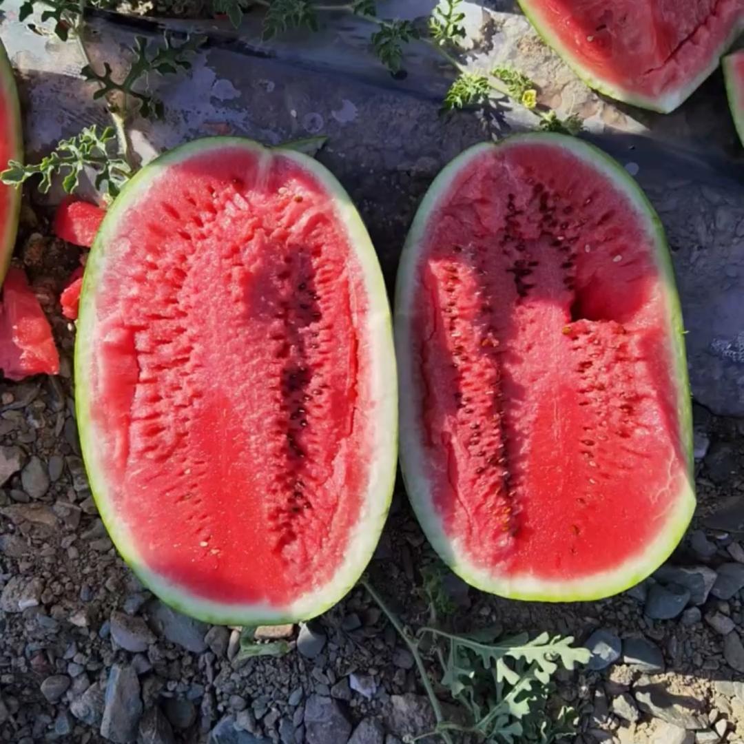 小马果蔬产地直供