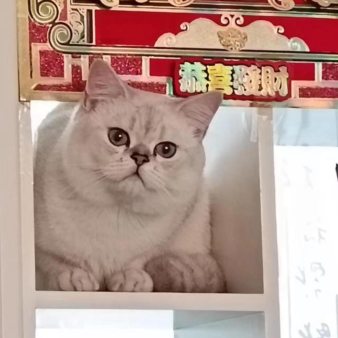 小天
