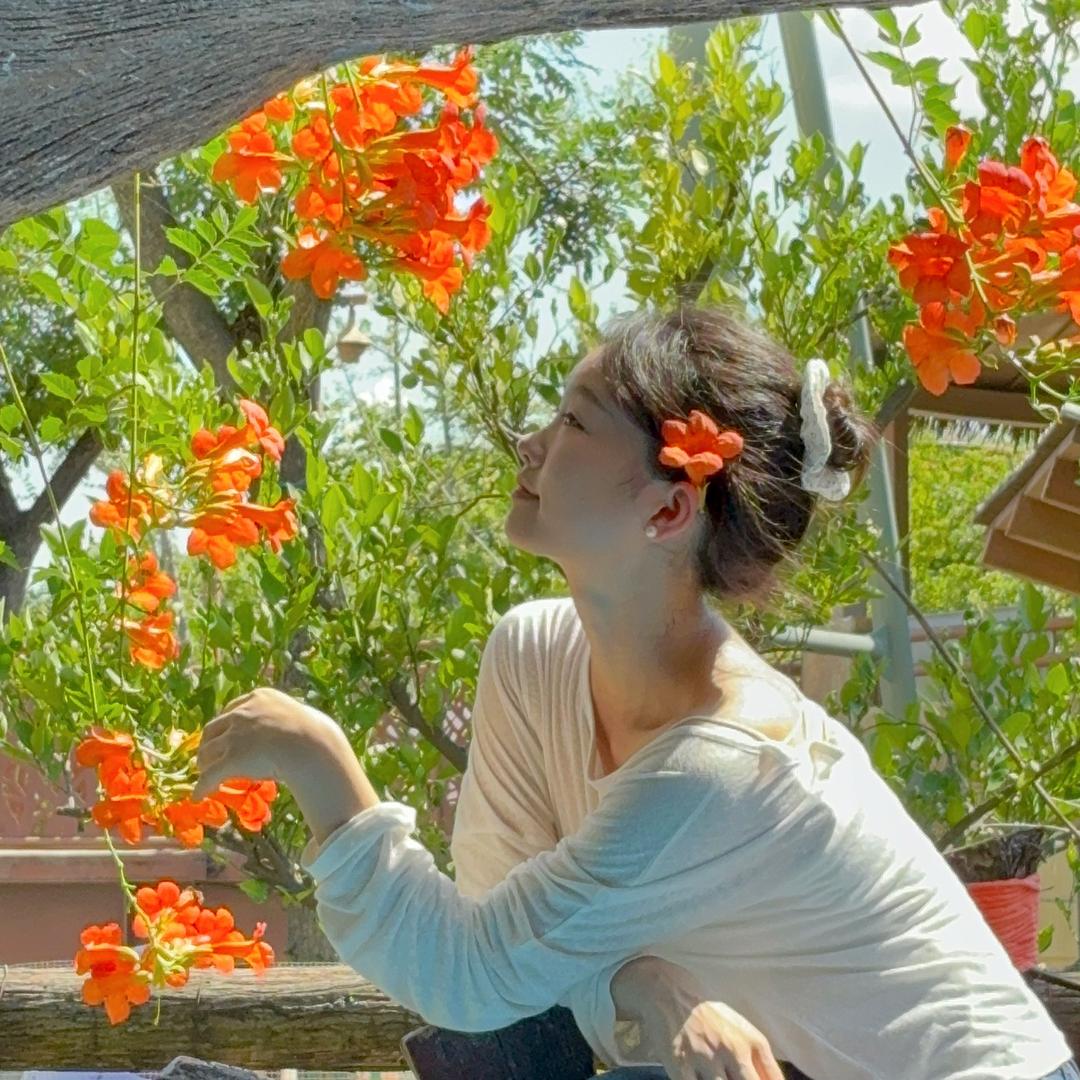 真真假假的小丸子