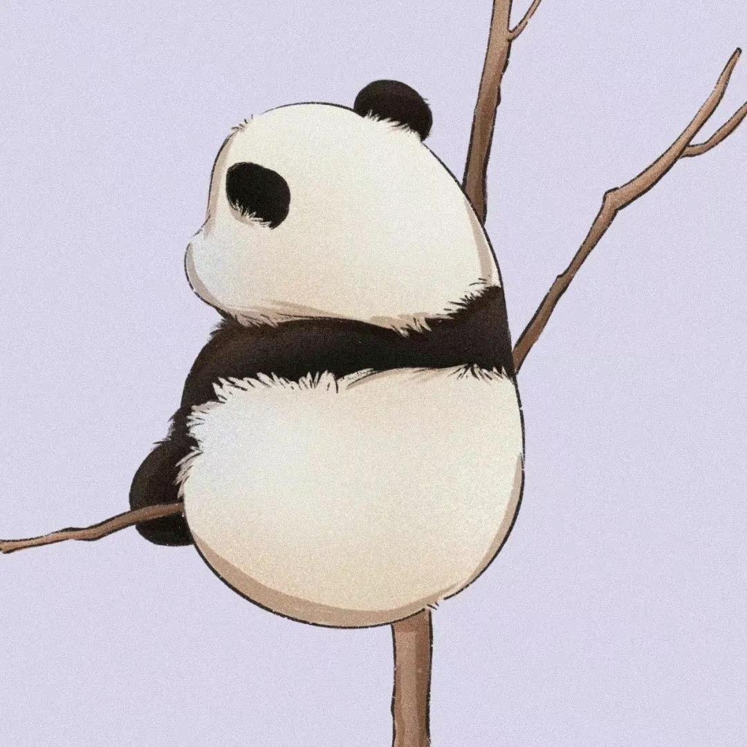 胖哒不胖