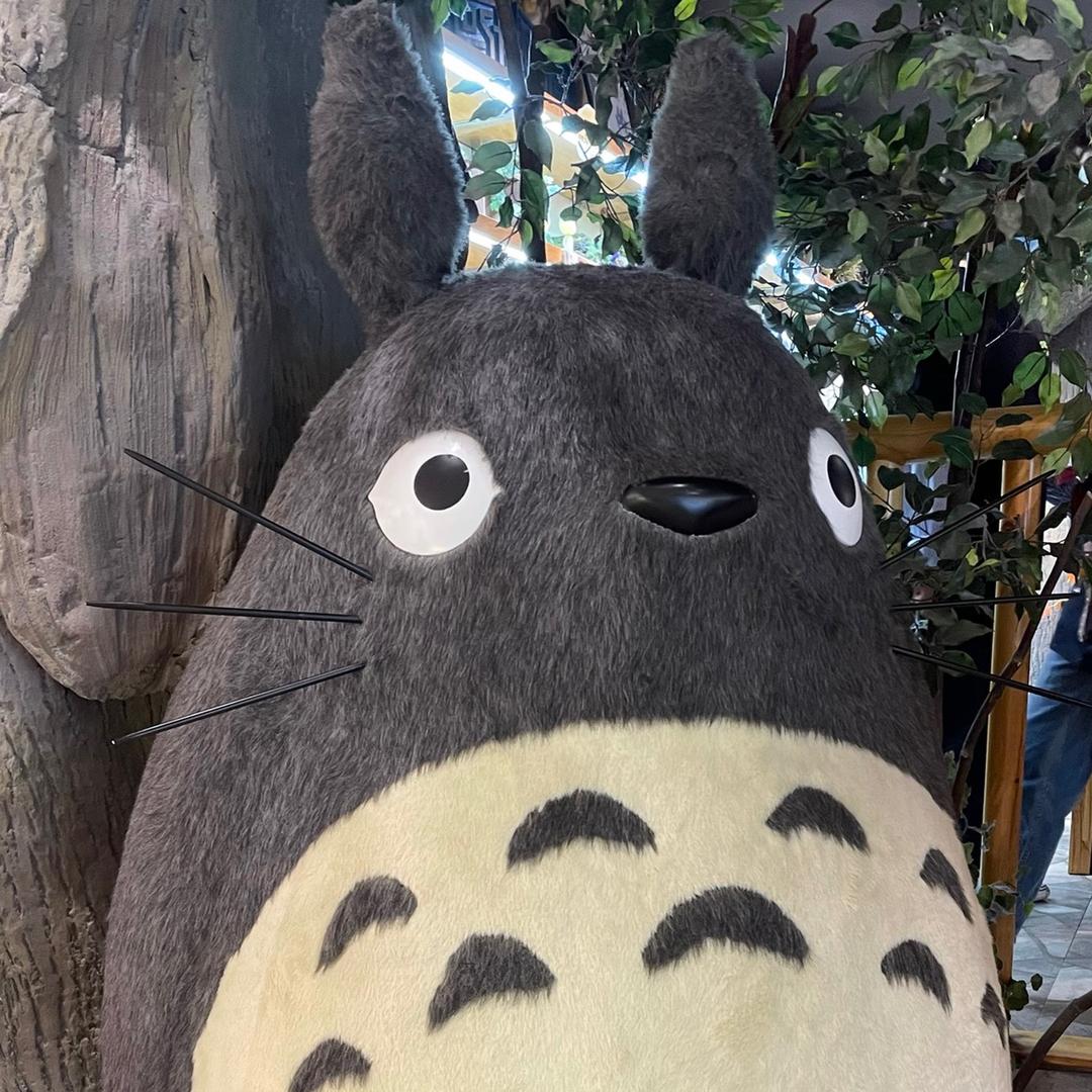 吴宇大娟子