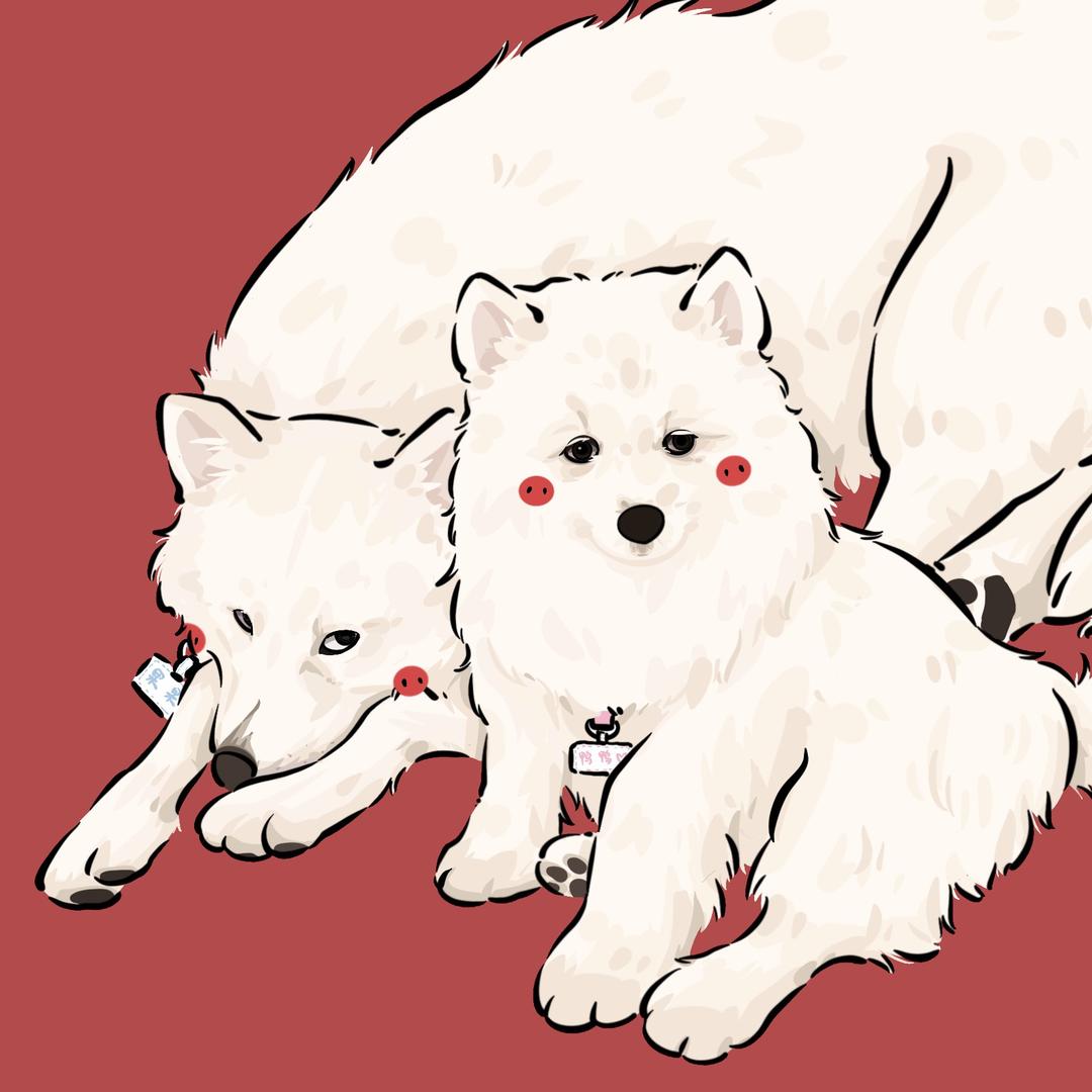 萨摩小鸭几