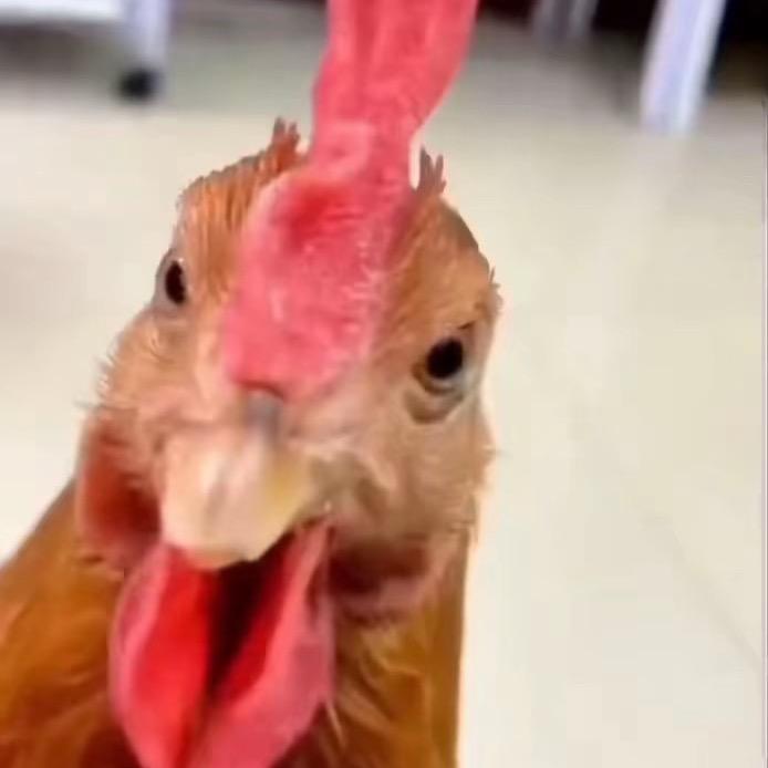 五香牛肉粒