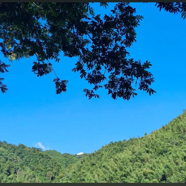 月儿小弯弯（妙牲古）