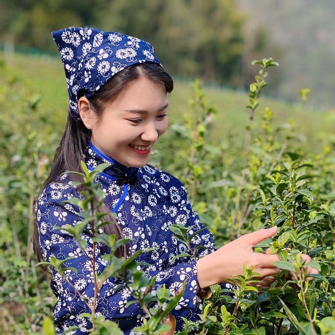 小菊妹子在村上（00后村干部）