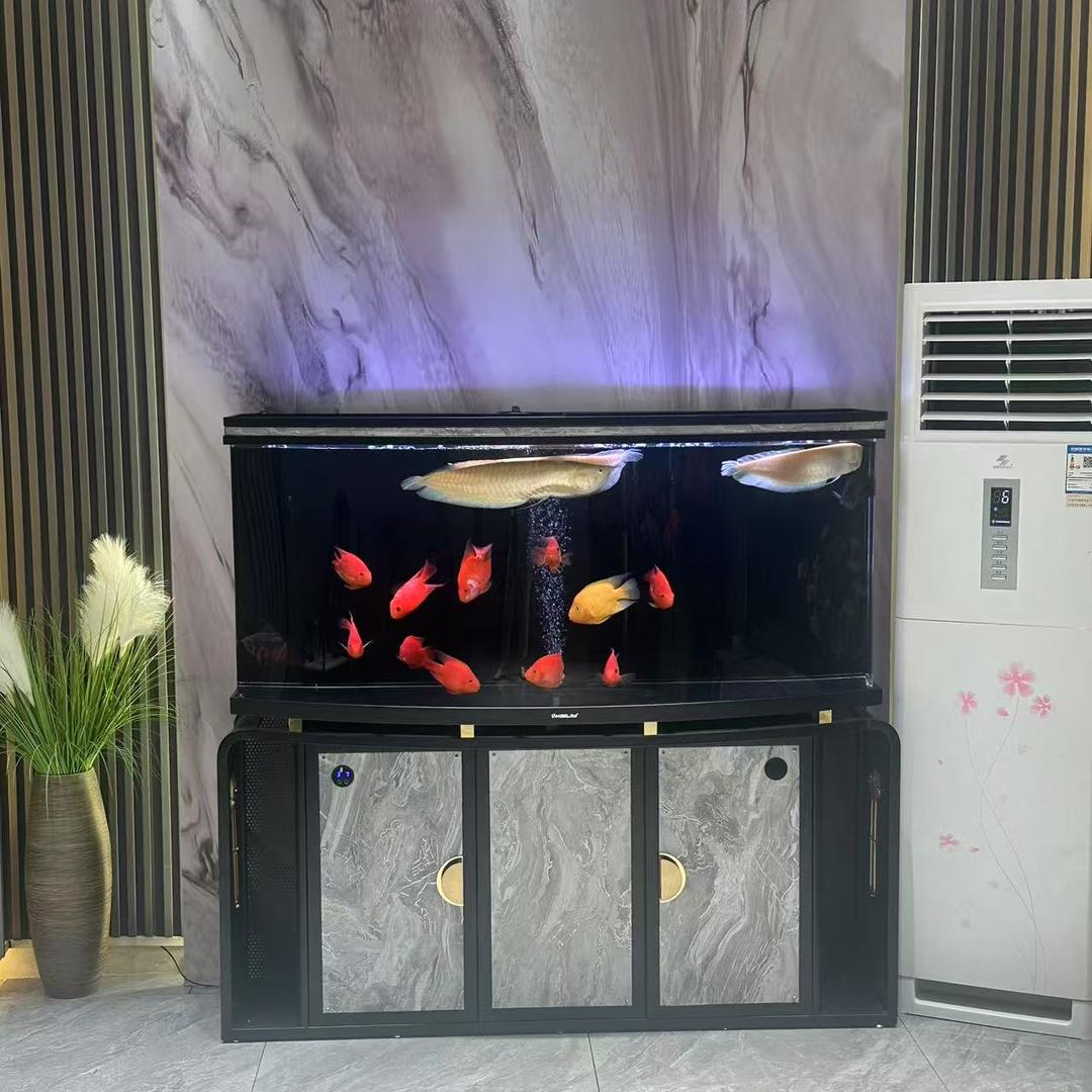 海丽雅水族工厂店