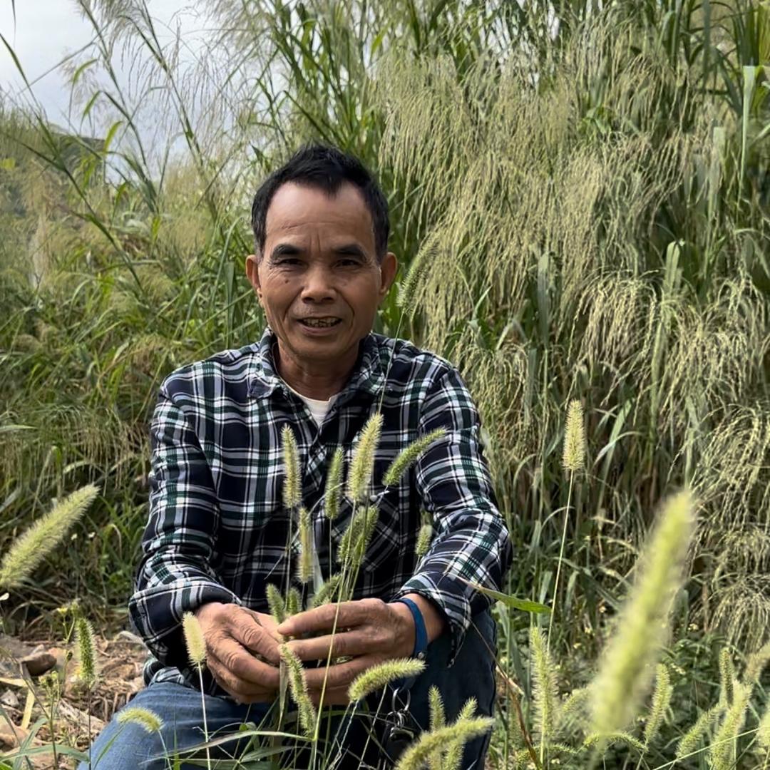 中草药古方范师傅