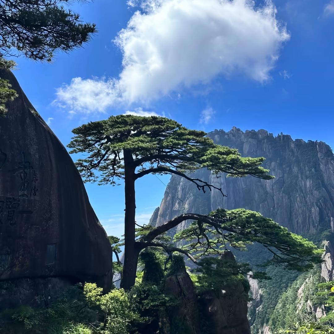 重生之我 在特克斯炒河粉