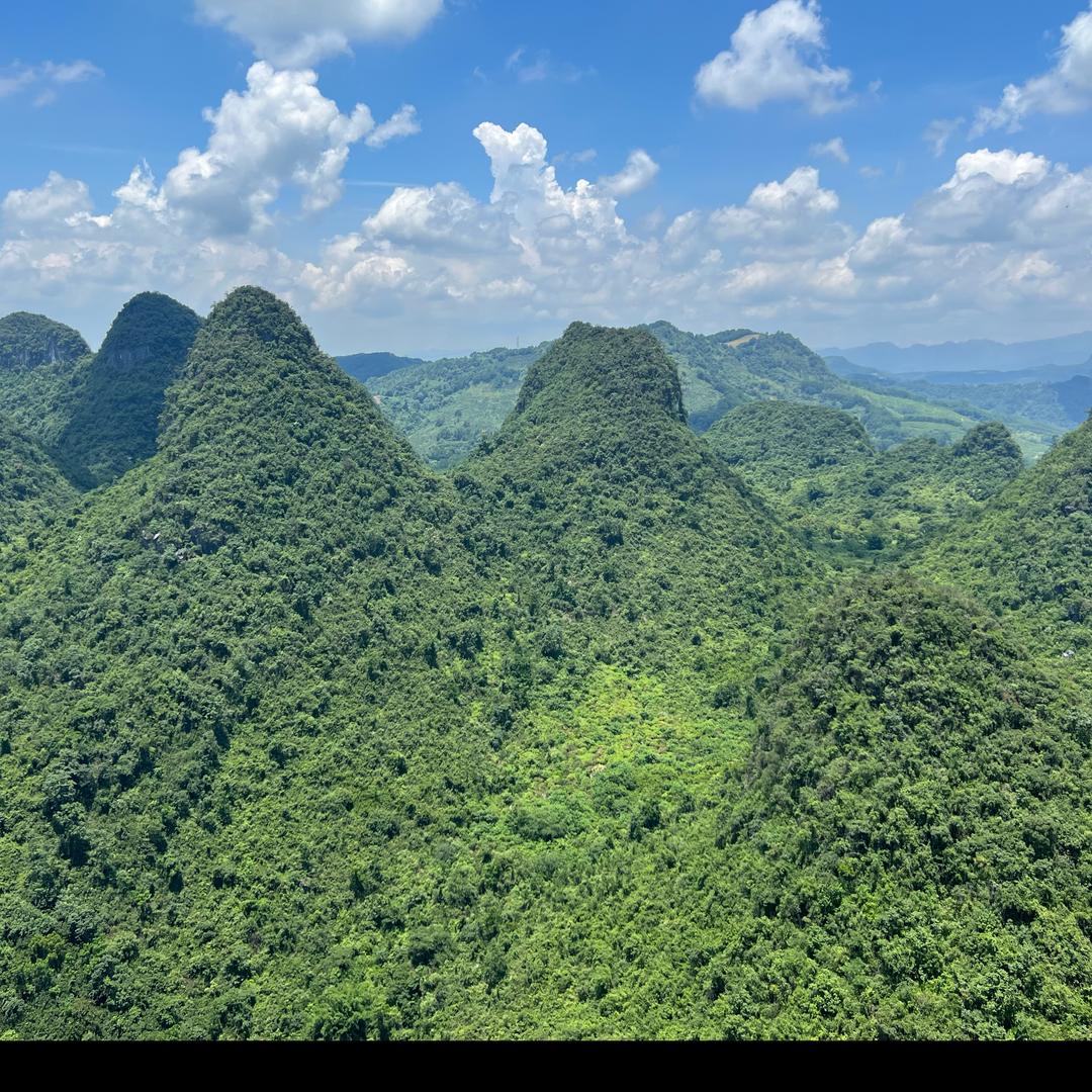 財小白