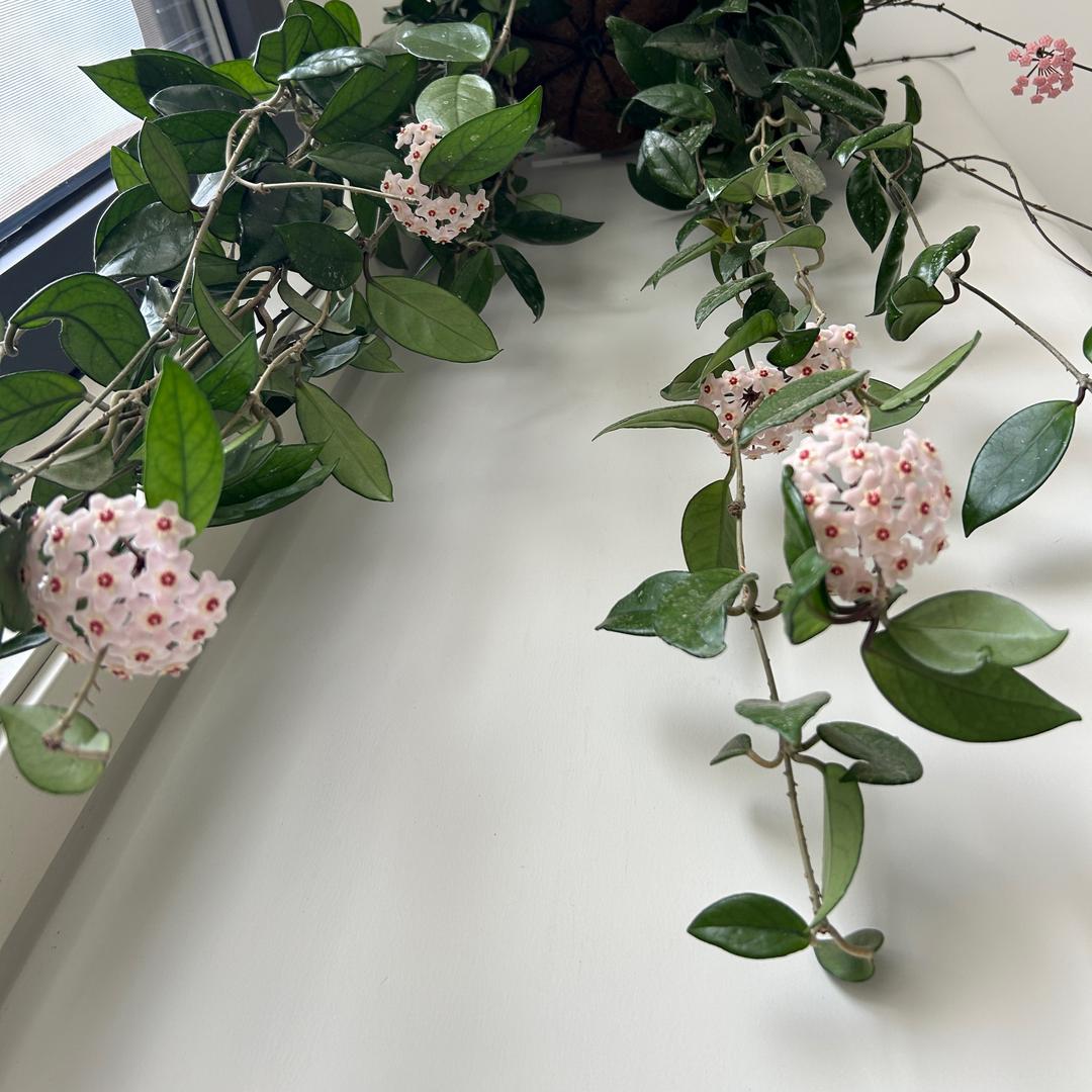 咫尺大观电子商务