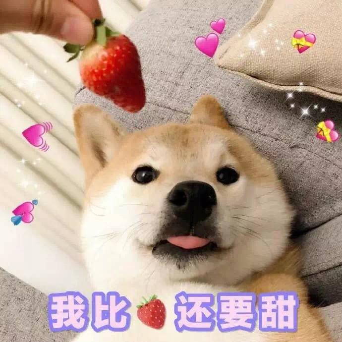 火锅少女的家