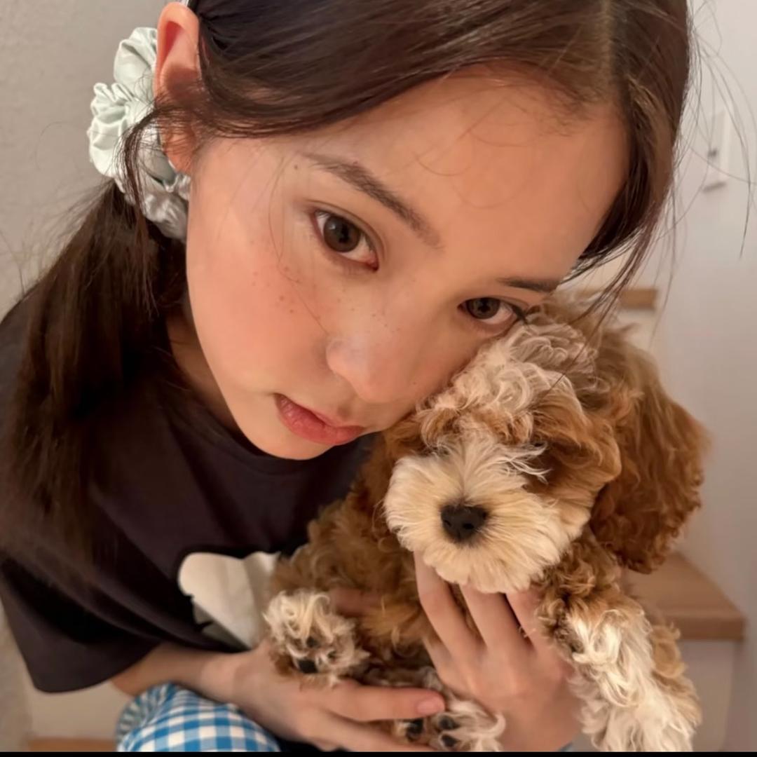 头油不炒菜