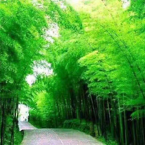 风🍃