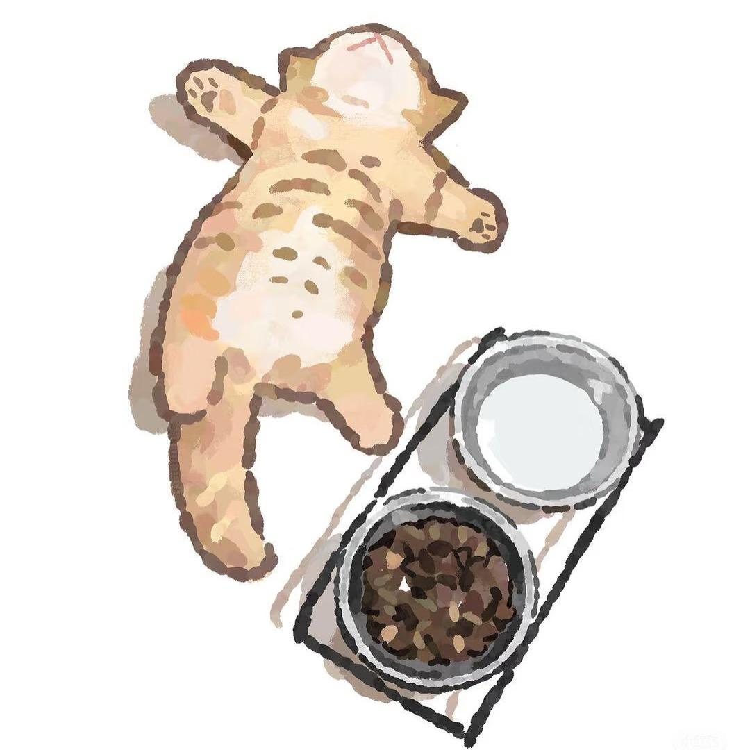 知知