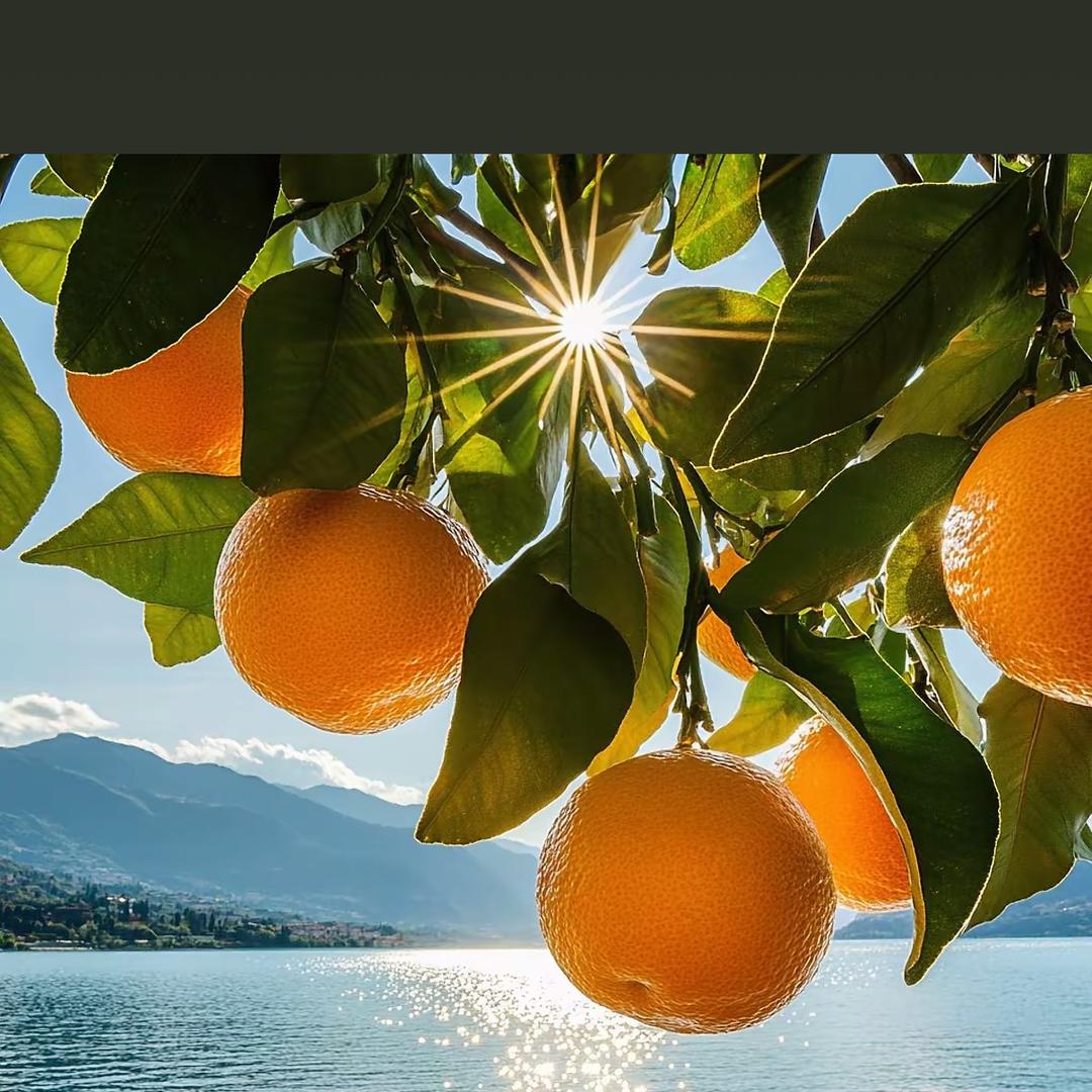 🌻顺其自然☀