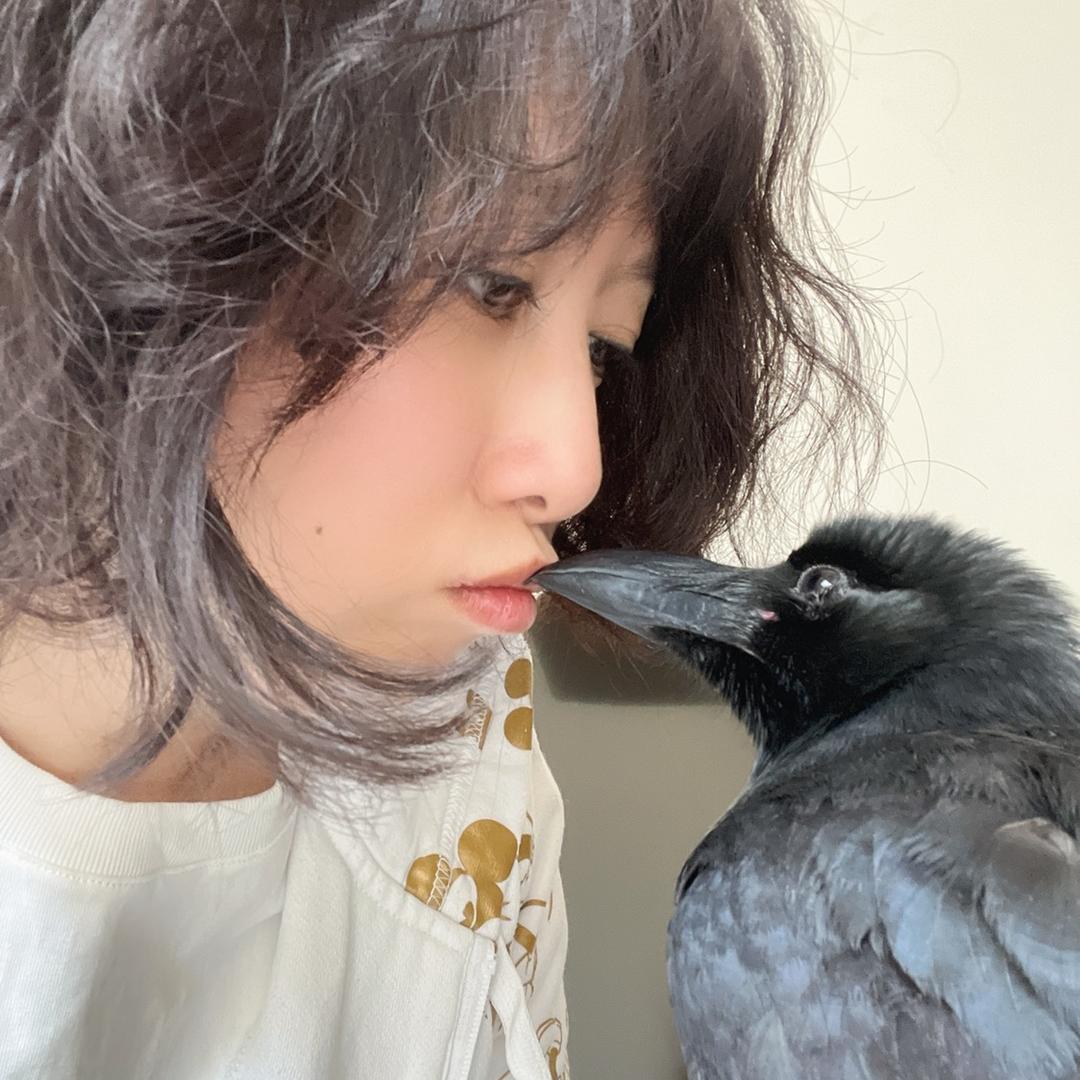小哈和皮皮