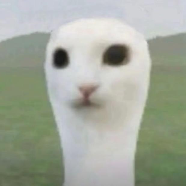 火烧猴屁
