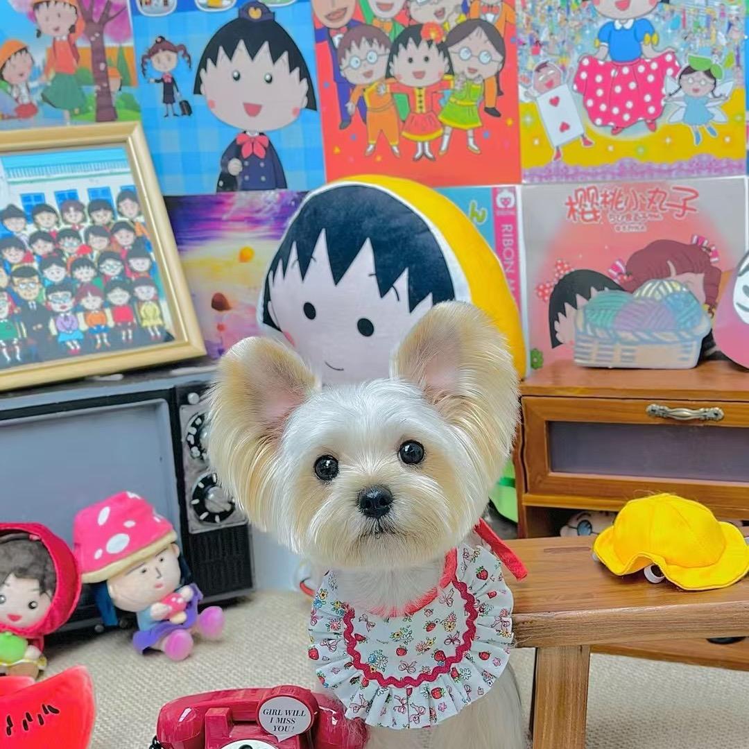 金金大王
