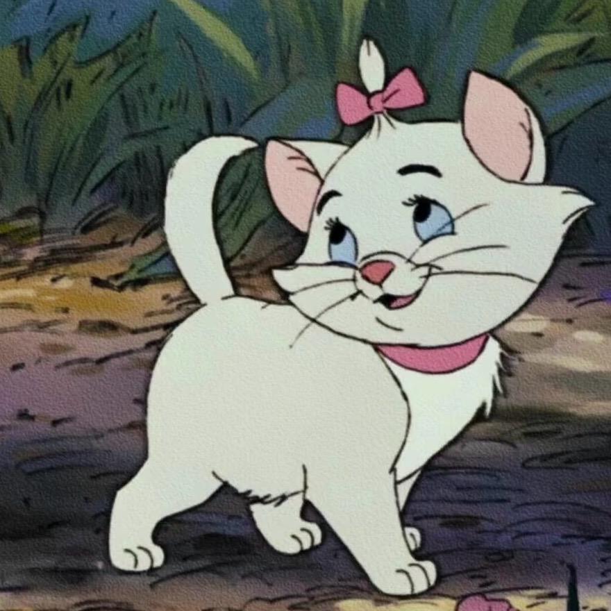 阿猫格儿