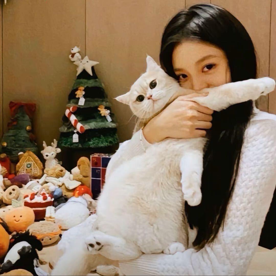 小橙子-