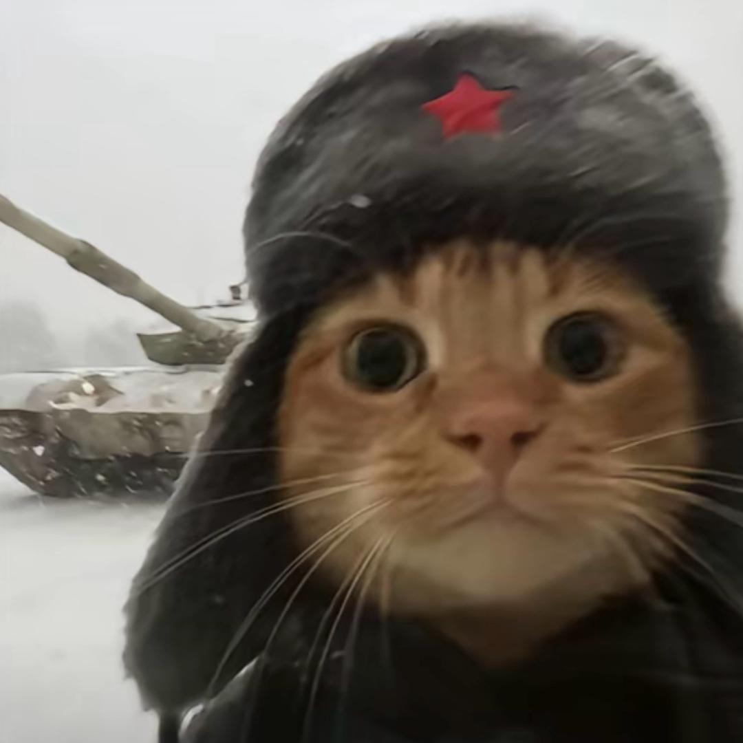 茅十八