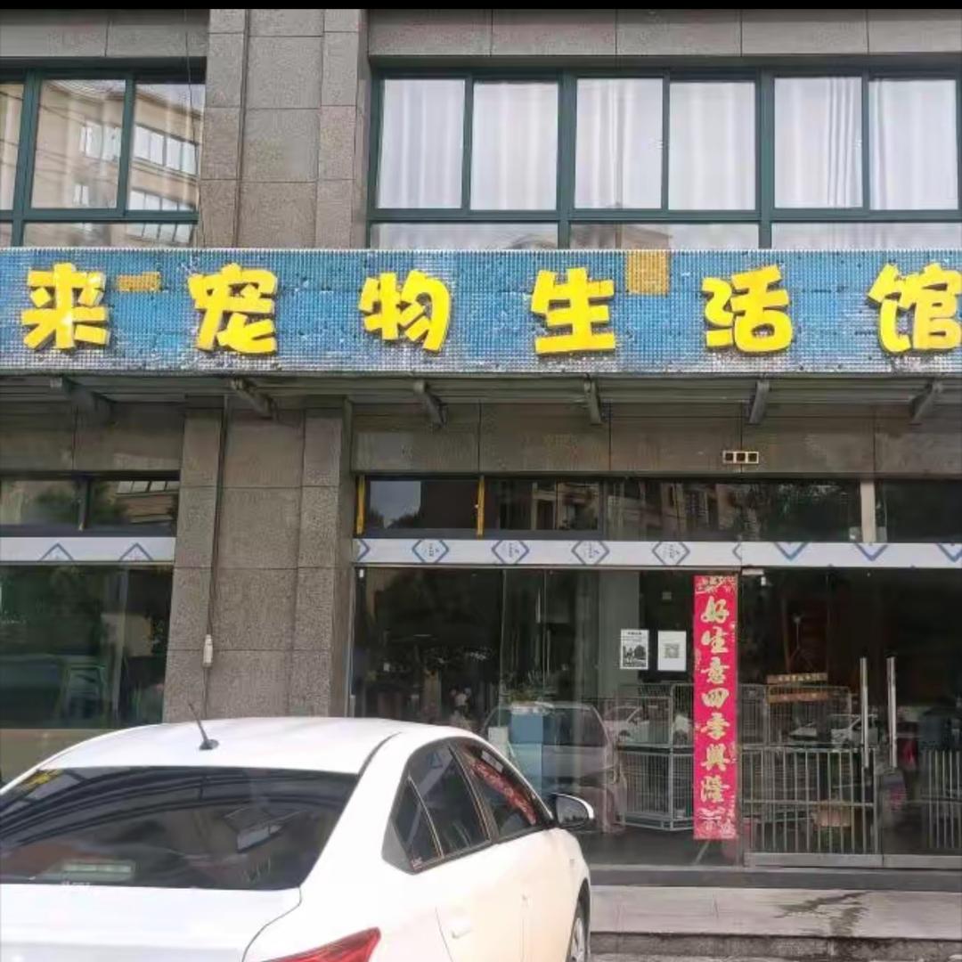 宁国米来宠物医院直播1号