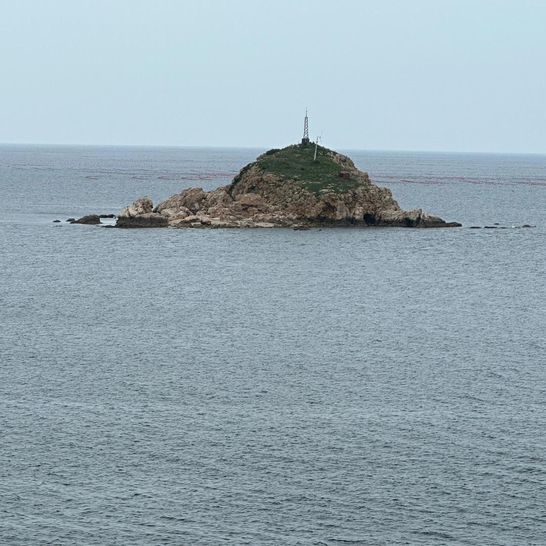 龙 行 龘 龘