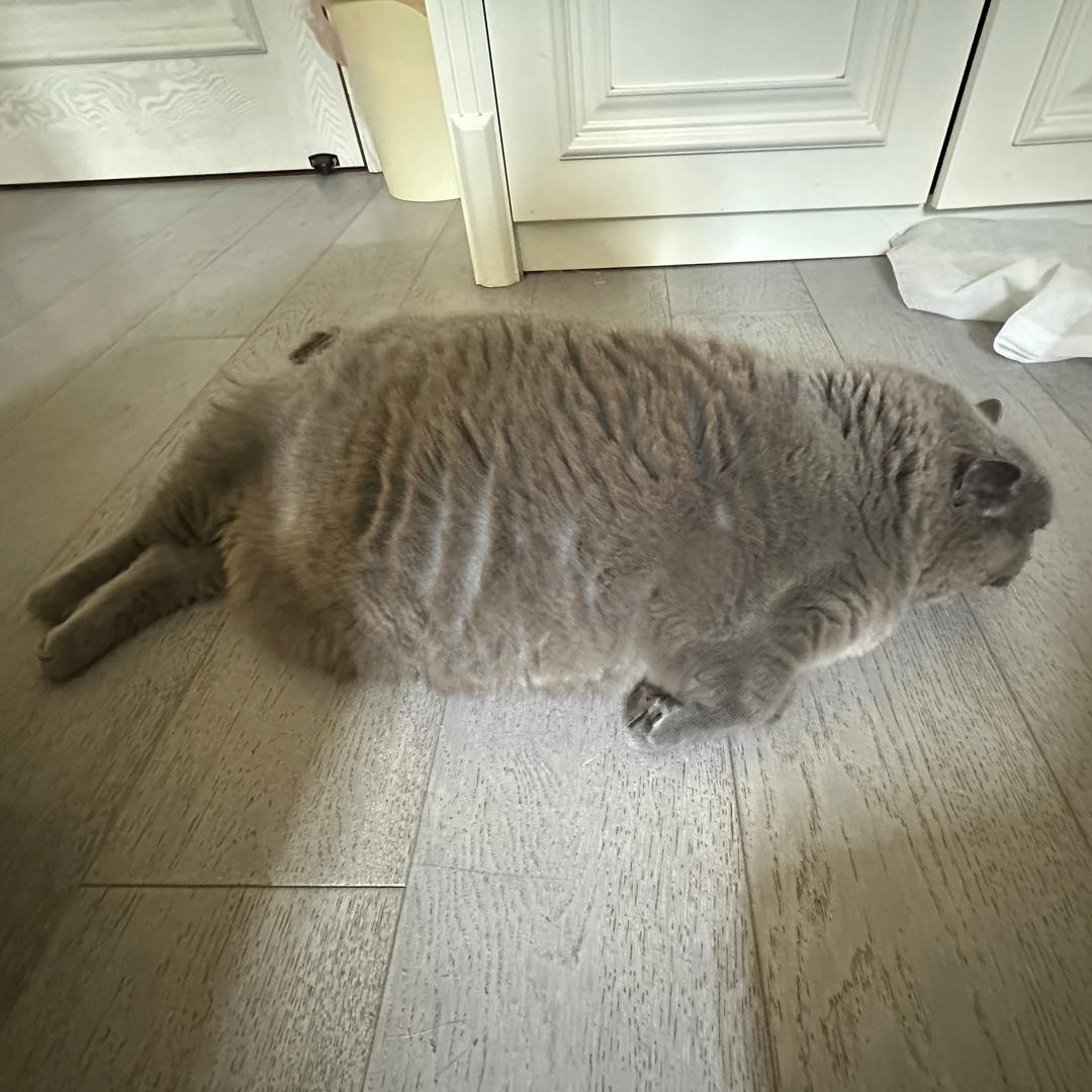 嫂子开门我是我哥