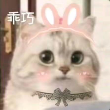 阿拉蕾蕾