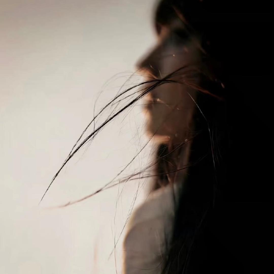 一根忧郁的猫毛